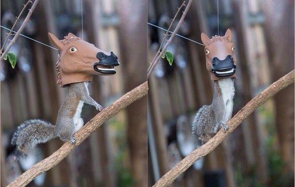 лайфхак, упрощение жизни,полезные советы