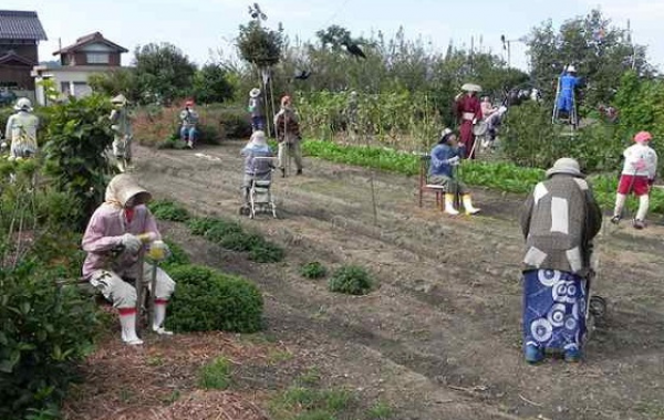 Что так много людей делает на этом участке?