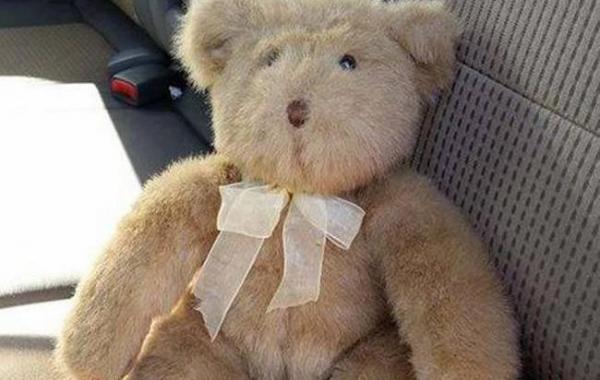 урна с прахом внутри плюшевого медведя, плюшевый медведь с погребальной урной, урна с прахом внутри медведя