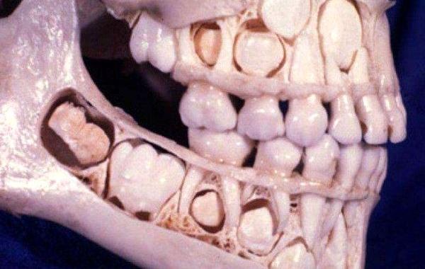 удивительные фотографии, фотографии которые поразят