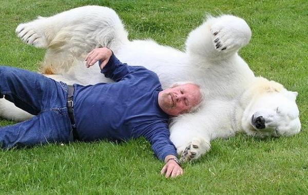 Дружба с белым медведем