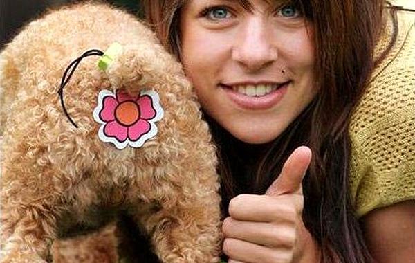 странные продукты для собак, абсурдные изобретения для животных, нелепые вещи для домашних животных