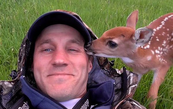 мужчина спас оленёнка, Дариус Саснаускас 