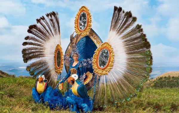 Самые шикарные костюмы Бразилии