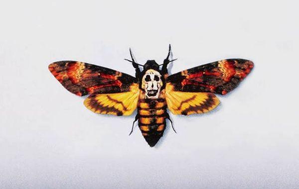 постеры фильмов без названий, угадай фильм, Мадани Бенджеллал, Madani Bendjellal, MadBook,Arrête ton Cinema