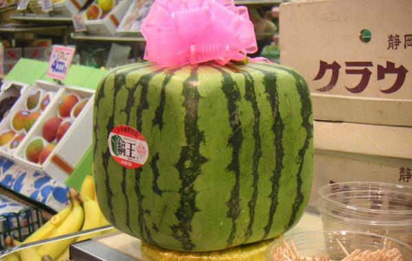 самые дорогие продукты Японии, продукты из Японии