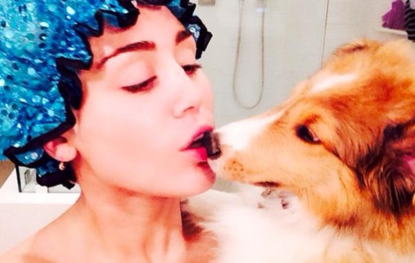 богатые животные, питомцы знаменитостей