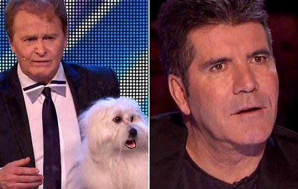 говорящая собака, Марк Метрал, Marc Métral, собака Мисс Венди, говорящая собака Венди, говорящая собака Британия ищет таланты