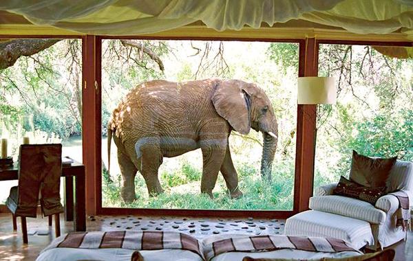 потрясающие виды из окна, номера с красивым видом