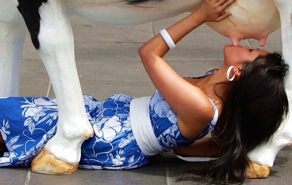 блюда запрещённые во многих странах мира