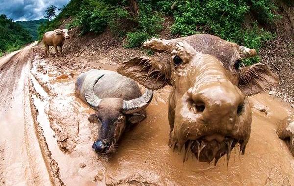 лучшее от  National Geographic за январь 2016, красивая природа