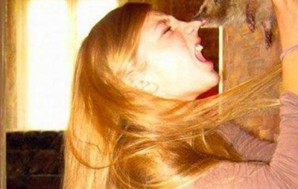 Смешные животные, которые очень любят пошалить