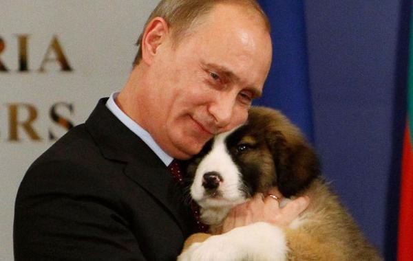 странные дипломатические подарки, нелепые глупые подарки 