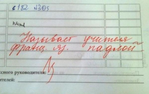 Смешные и нелепые записи учителей в школьных дневниках