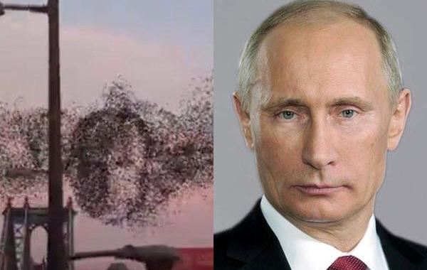 Лицо путина из птиц, птицы сложились в лицо Путина, портрет путина над Нью-Йорком, Путин потрет птицы