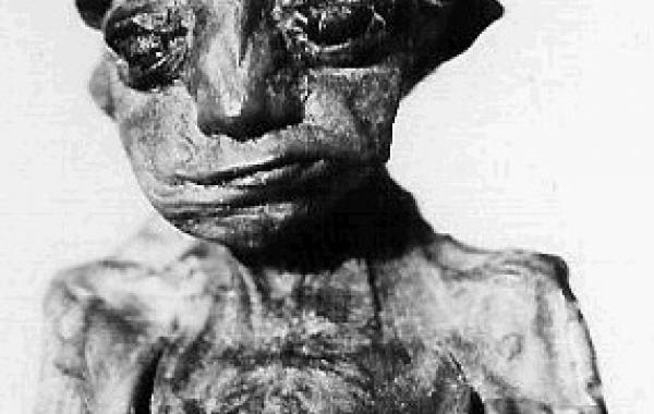 Загадочные трупы, Педро