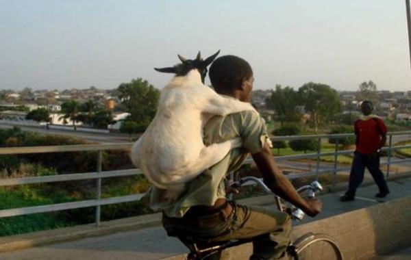 случаи на дорогах африка, проезжая по африке, дороги африка