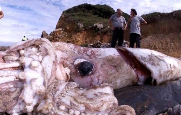 редкие кадры, исторические кадры, архивные фото знаменитостей