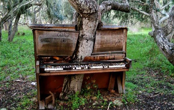 природа победила цивилизацию, заброшенные города