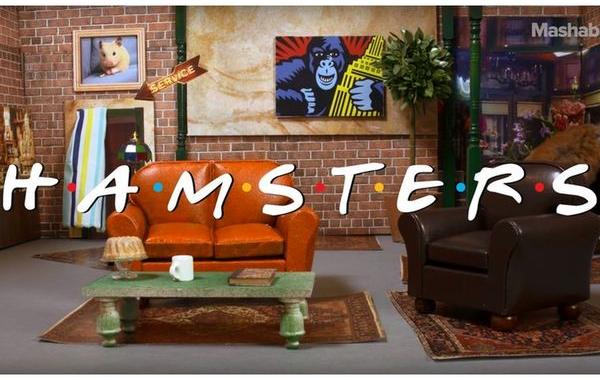 сериал Друзья хомяки, если бы в сериале Друзья сыграли хомяки