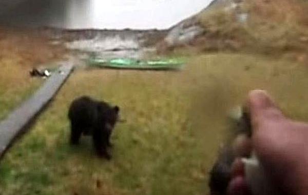 не ешь мой каяк, медведь стал есть каяк, медведь напал на каяк, девушка брызнула медведю перцовый баллончик