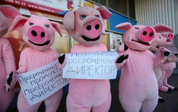 хрюши против срок годности продукты