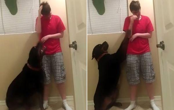 Даниэль Джейкобс, Danielle Jacobs, собака хозяйка синдром аспергера, собака останавливает хозяйку с синдромом Аспергера