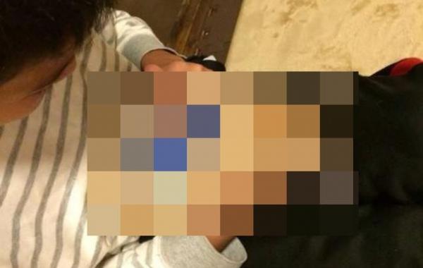 японцы применение домашним кроликам, японцы кролики как держатели для смартфона, Япония кролик  крышка смартфона