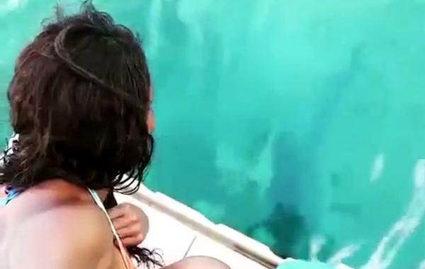 дельфин вернул телефон, девушка уронила телефон в океан дельфин вернул