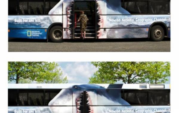 Креатив: рисунки на автобусах 