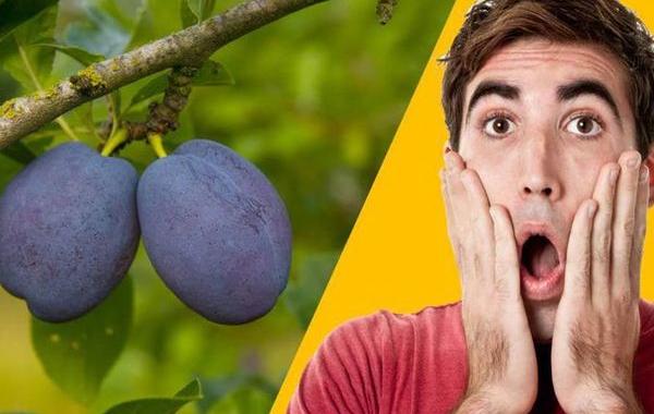 альтернатива вазектомии, RISUG, Vasalgel, для мужчин