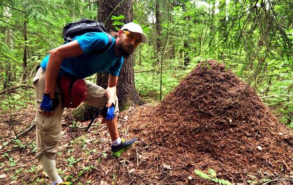 факты о редких профессиях, странные и редкие профессии 