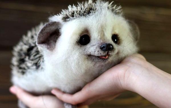 игрушки Татьяны Бараковой, игрушки из войлока и шерсти