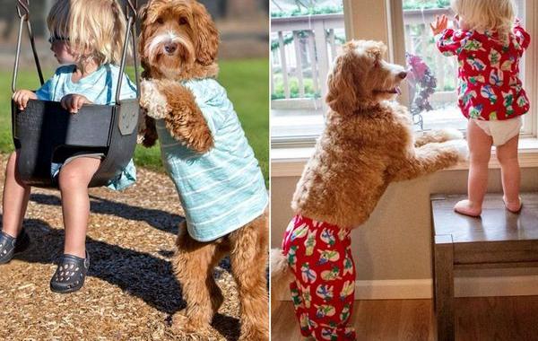 дружба приёмного ребёнка и его собаки, Рейган и Бадди