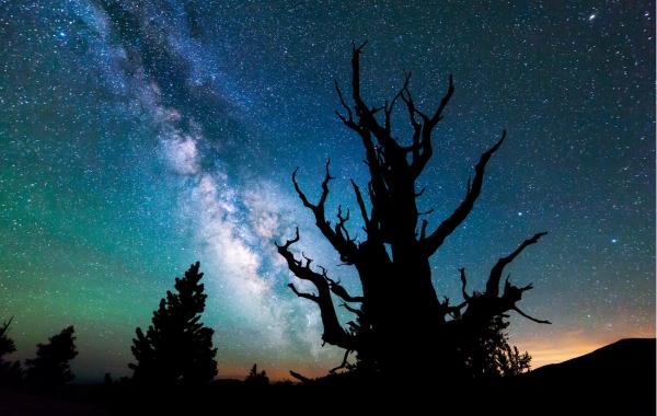 Фотографии звездного неба Майкла Шейнблюма, Michael Shainblum