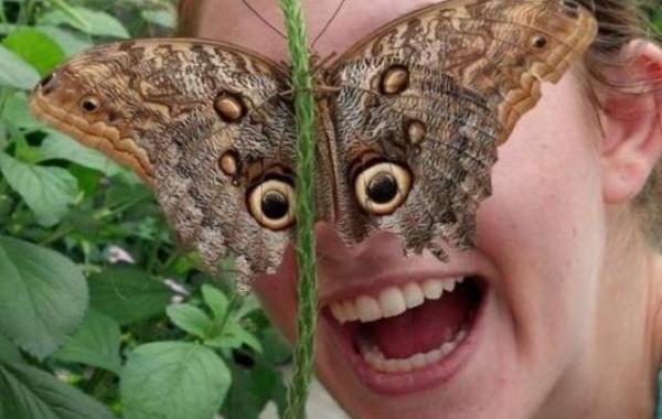  в нужный момент 