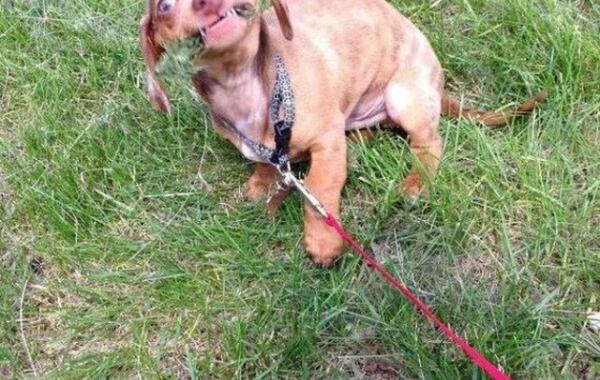 Фотографии сделанные в нужный момент 