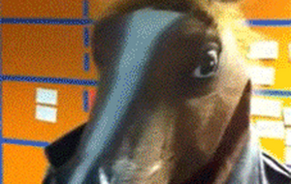 Смешная и интересная анимация, гифки, gif