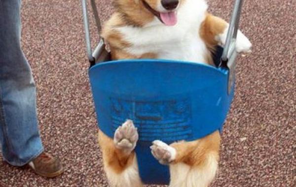 Позитив счастье и радость в фотографиях