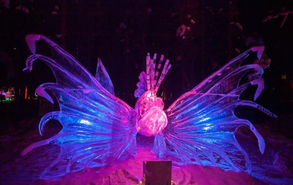 Крупнейший в мире чемпионат ледяного искусства 2013