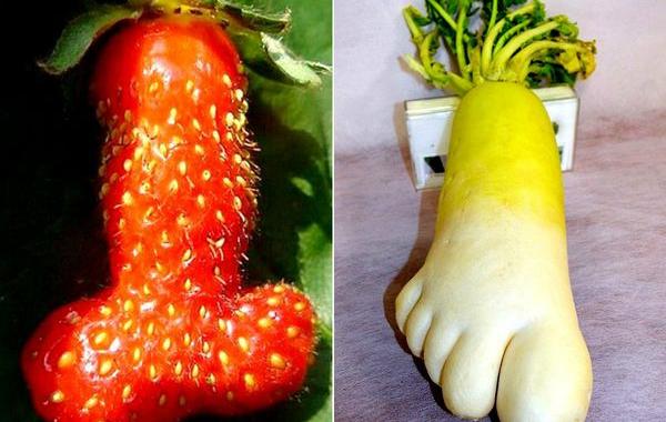 овоши которые выглядят как нечто другое, овощи и фрукты необычной формы