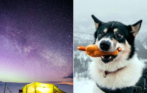 Парень бросил работу и отправился в путешествие с собакой