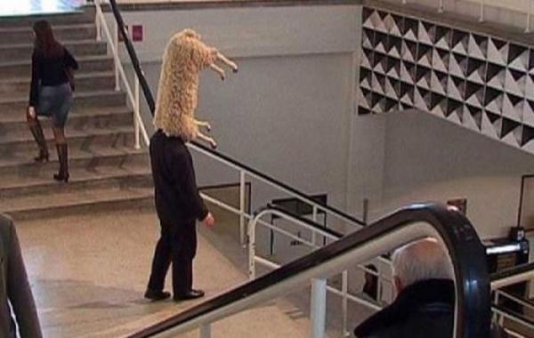 Что за херня?! смешные, необъяснимые, фотографии,