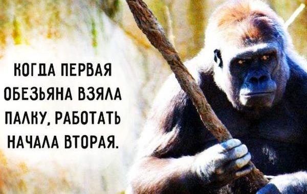 как повысить продуктивность, повышение работоспособности 