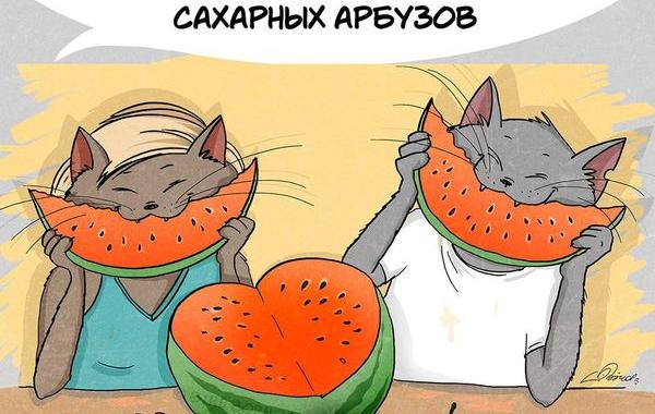 что нужно успеть сделать летом, пока не закончилось летом