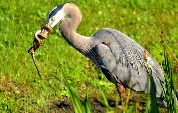 окружающий мир, без фотошопа