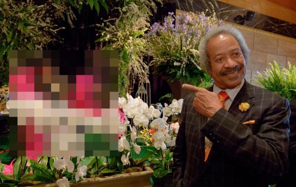 Фееричные похороны, Mickey Easterling, необычные похороны