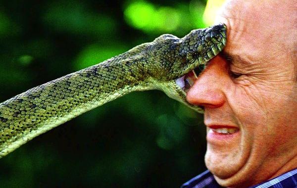 мифы о том что может убить