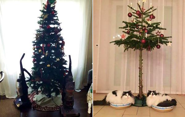 как защитить ёлку от животных, гениальные способы чтобы защитить ёлку