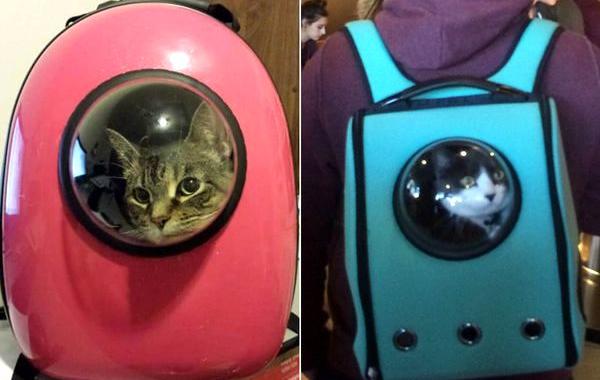 рюкзак для котов, коты-космонавты